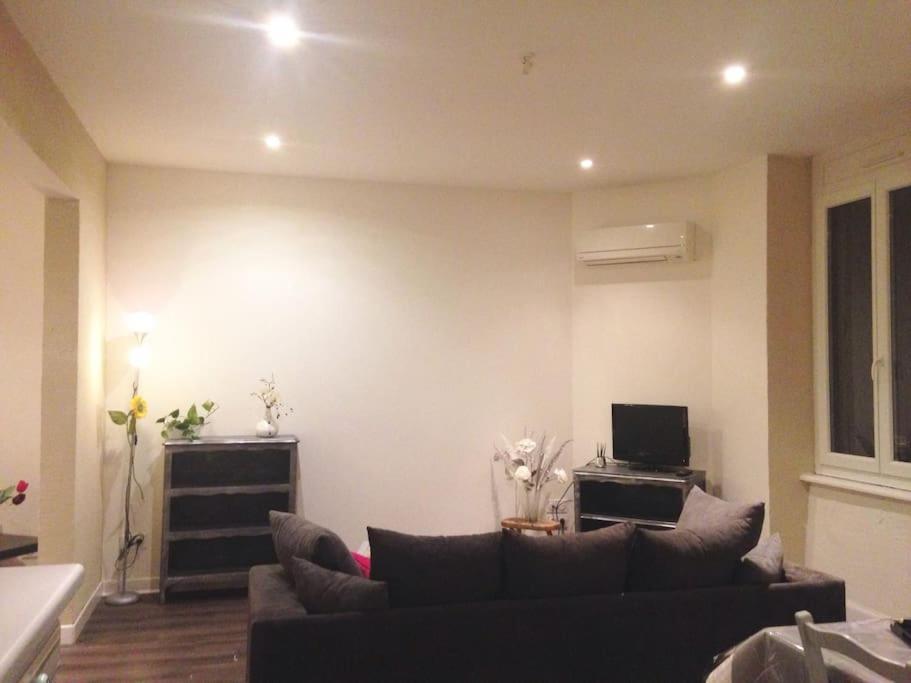 Appartement Au Calme Родез Екстериор снимка