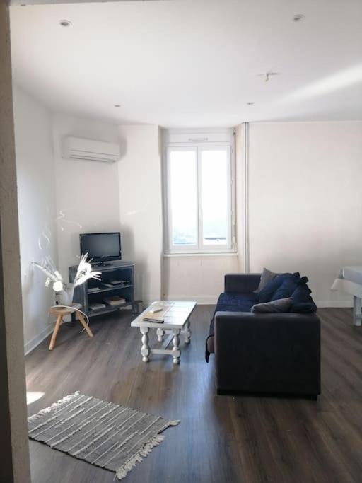 Appartement Au Calme Родез Екстериор снимка